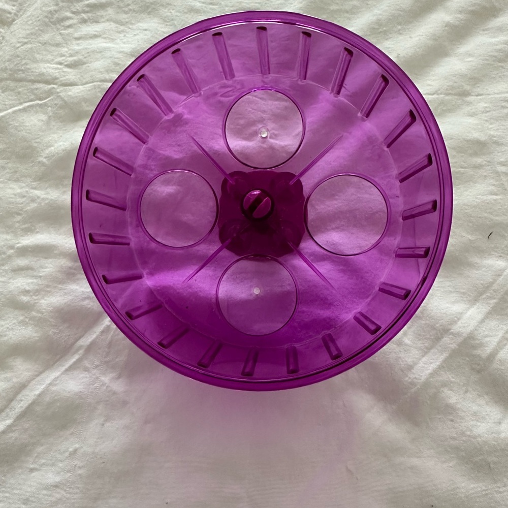 Hamster Wheel - Picture 3 of 5